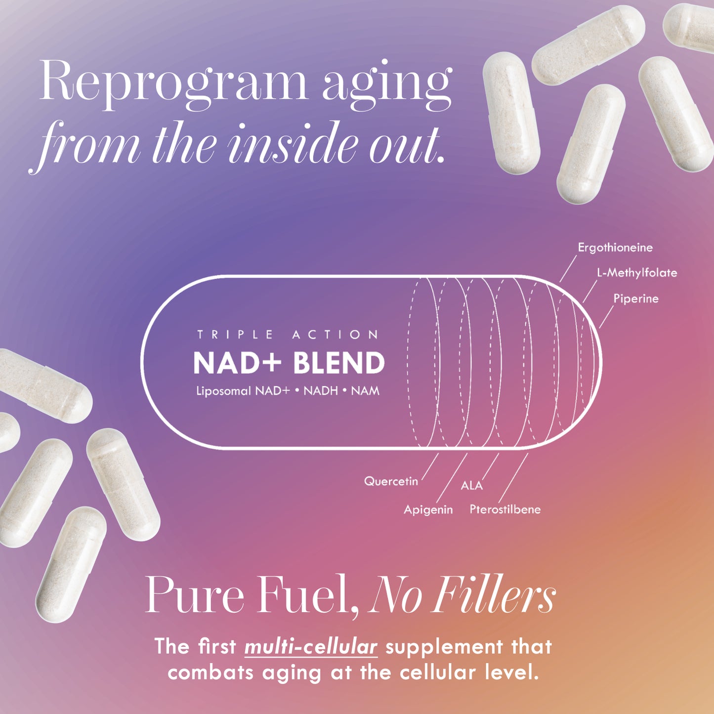 Cell Theory Sample 10-in-1 Energy System Liposomal NAD+ Supplement