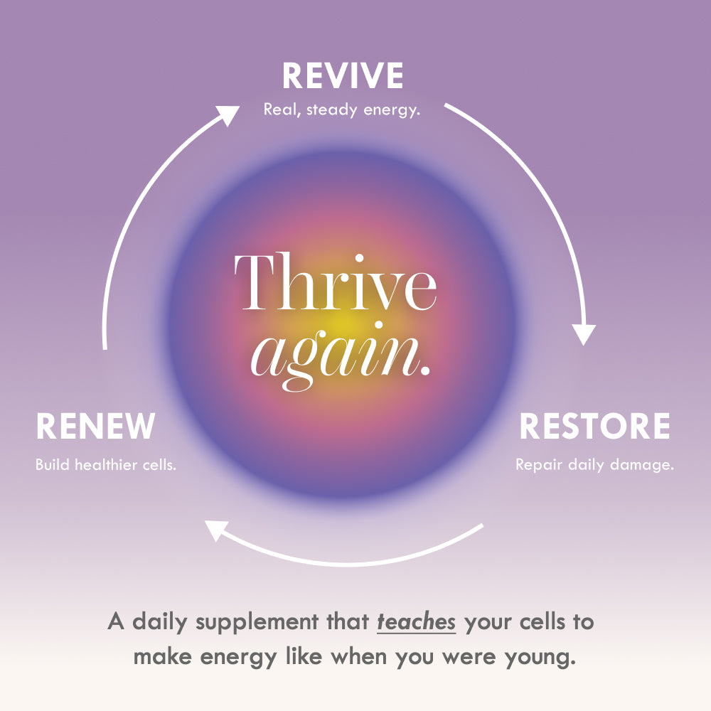 Cell Theory 10-in-1 Energy System | Longevity Supplement