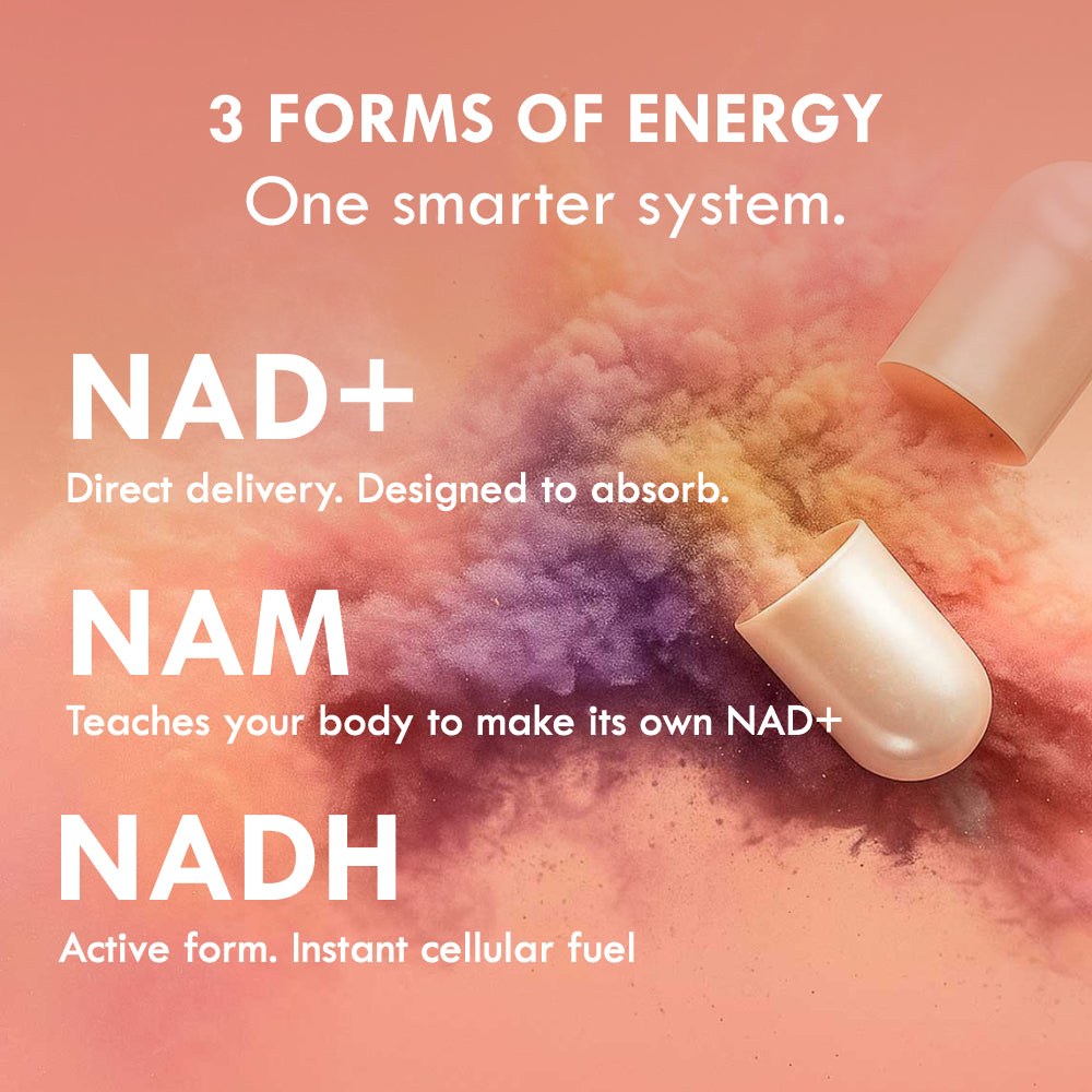 Cell Theory 10-in-1 Energy System | Longevity Supplement