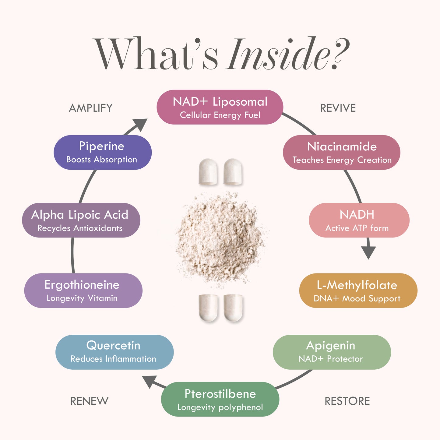 Cell Theory 10-in-1 Energy System | Longevity Supplement